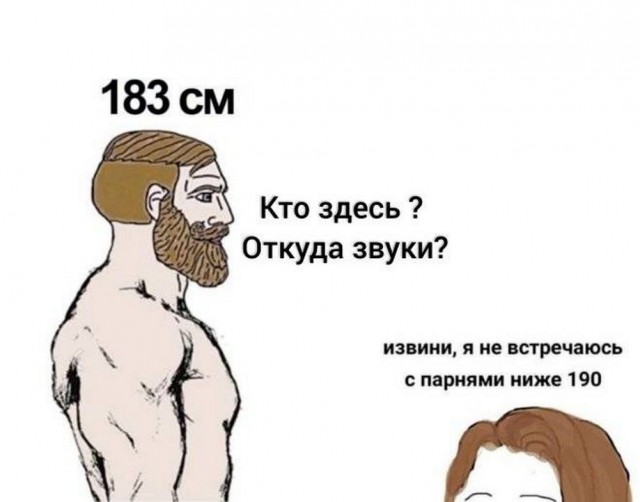 Немного забавных картинок от 22.12.24