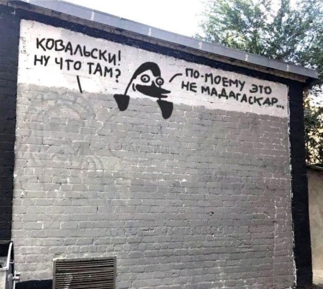 Прикольные и просто красивые картинки 10.01.2025