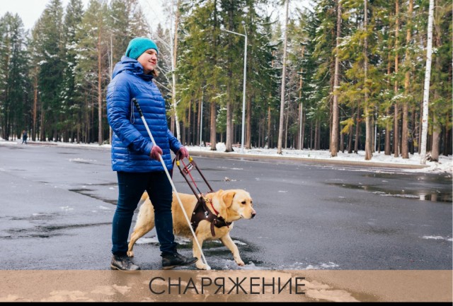 18 печальных картинок.