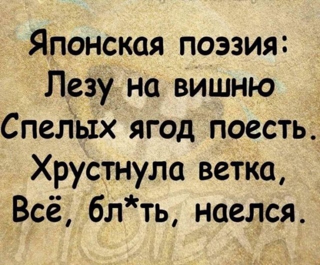 Так себе картинки 31.01.25