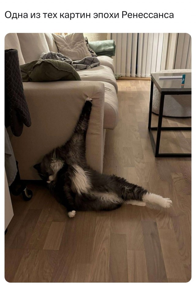 Так себе картинки 03.03.25