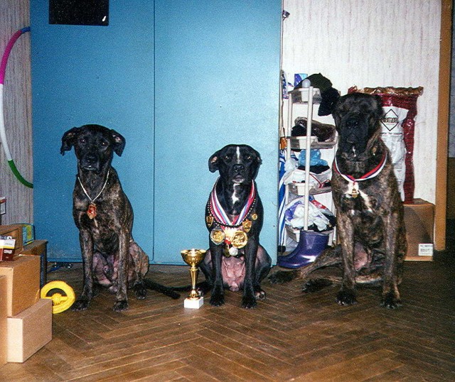 Фотаемся на объявление