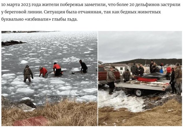 Делай добро и бросай его в воду