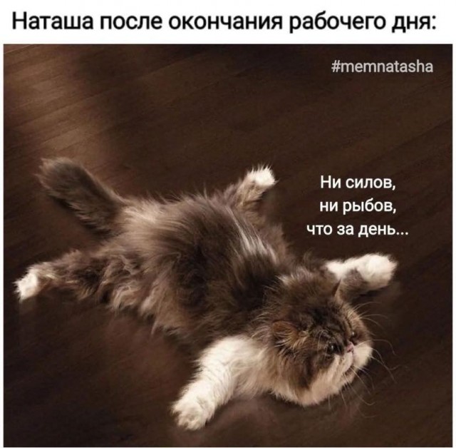 Завалялось тут случайно немного забавных картинок