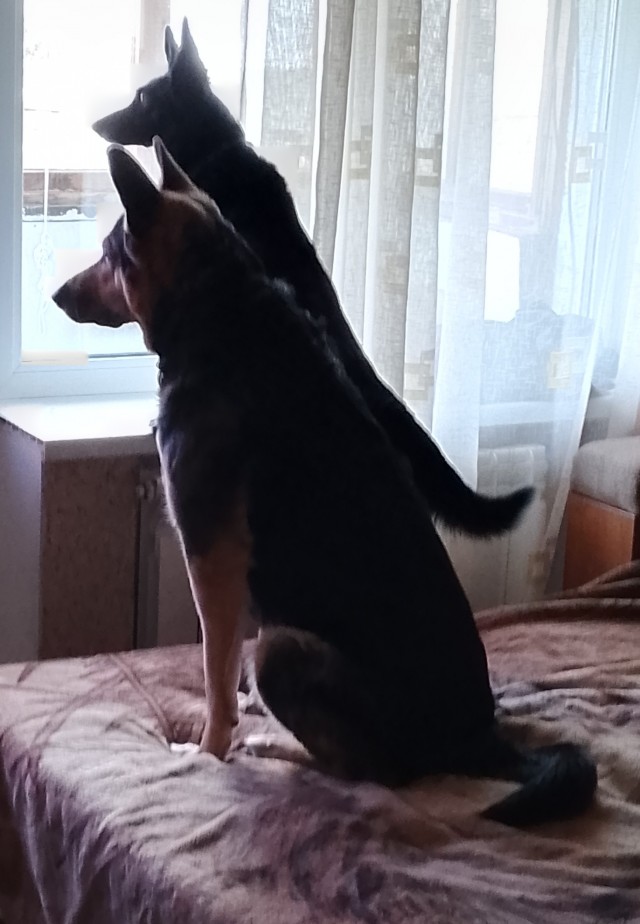 Не! Не дотерплю до четверга!