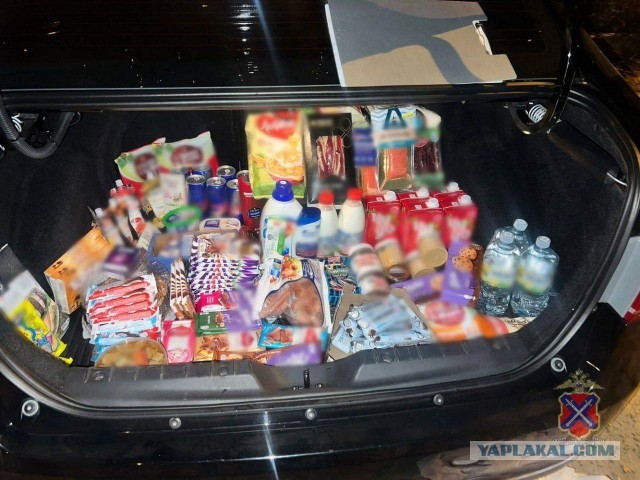 В Волгограде приняли молодую банду шоплифтеров, которые за одну ночь обнесли 7 продуктовых магазинов.