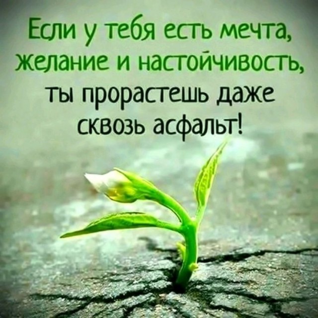 Прикольные и просо красивые картинки 05.09.2025