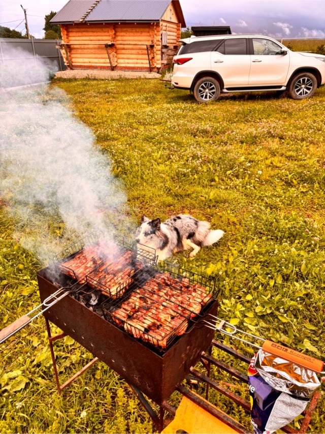 Самая галантная