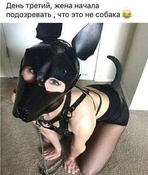 Пошлый и взрослый юмор #4