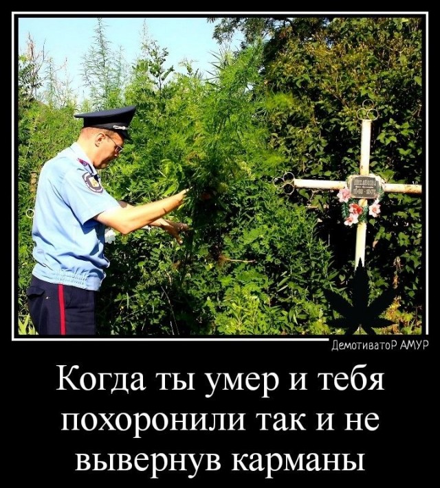 Прикольные и просто красивые картинки 17.10.2025