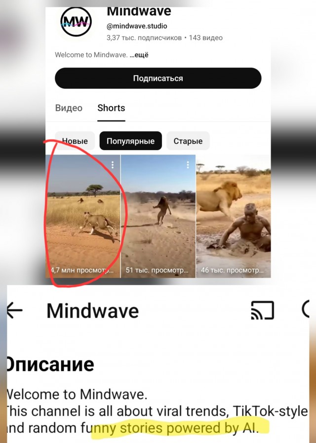 Кошмарить бы львов в саванне