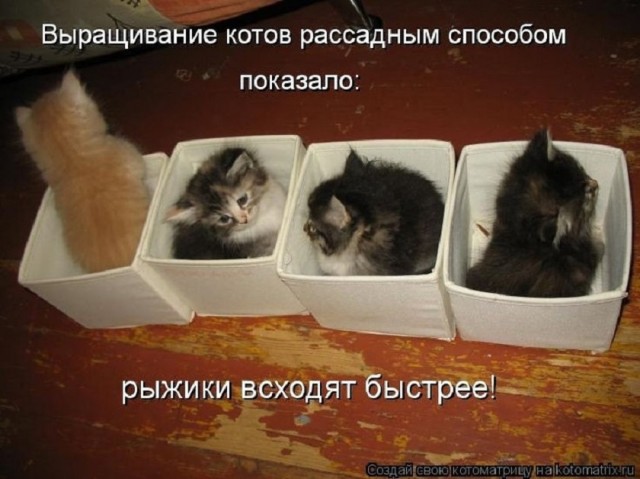 Так себе картинки 26.03.26