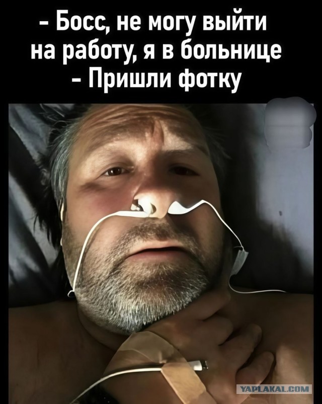 Понедельника картинки