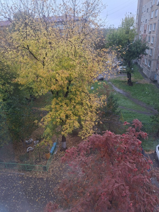 Все краски осени