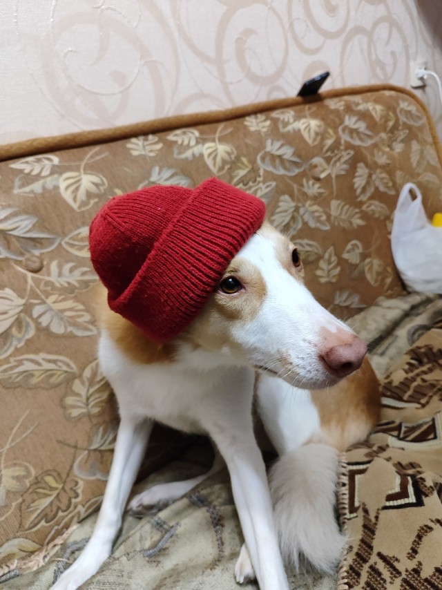 Скиньте рандомную хрень