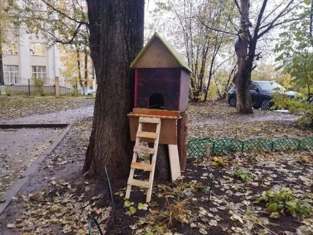 Пока кто-то проходит мимо, житель Королева строит дома для бездомных животных