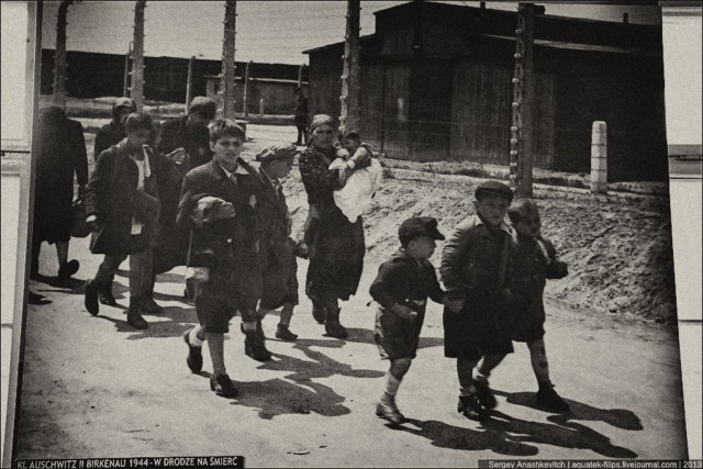 Аушвиц. Фабрика смерти 18+