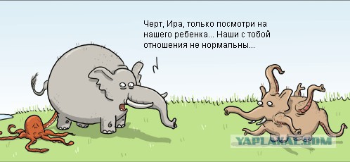 Смешанная кровь