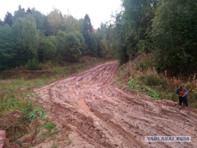Сплав: река Мера, байдарка, женщина, собака.