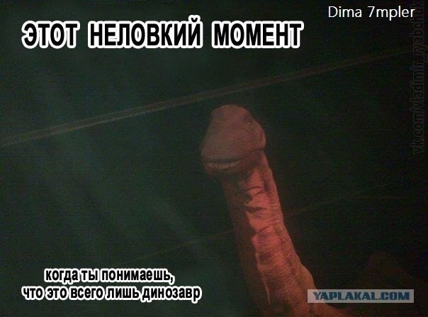 Тест на испорченность...