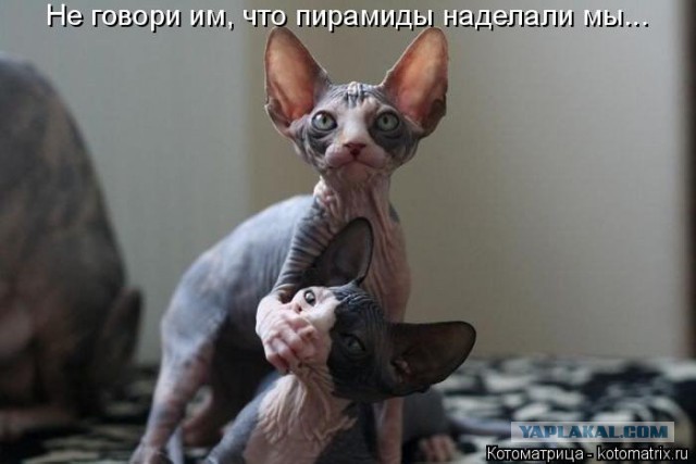 Как меняются взгляды на Древний Египет