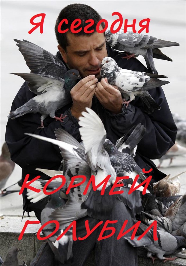 Просто картинки