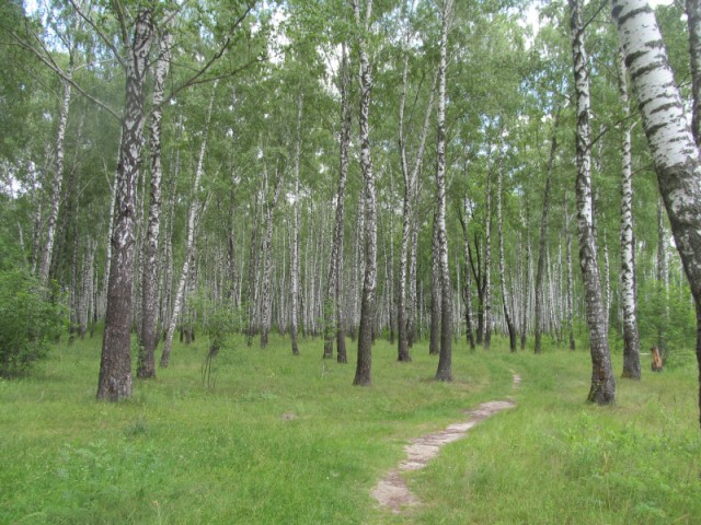 Дача, рукоделие и шашлыки