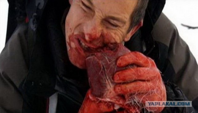 Кормление ящериц яблоком