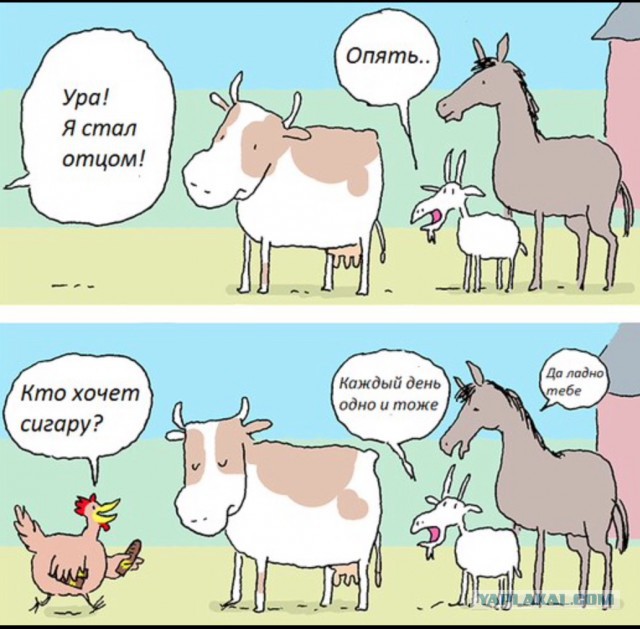Картинки на пятницу