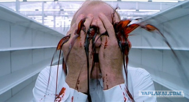 Люди из социальных сетей