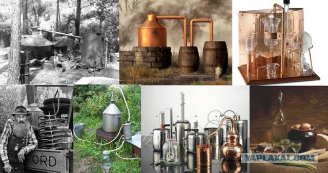 Хижина в лесу