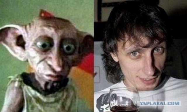 Шоу двойников