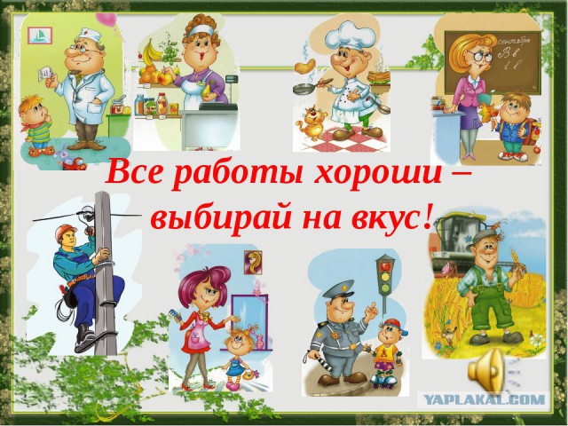 Что видят с рабочего места люди разных профессий