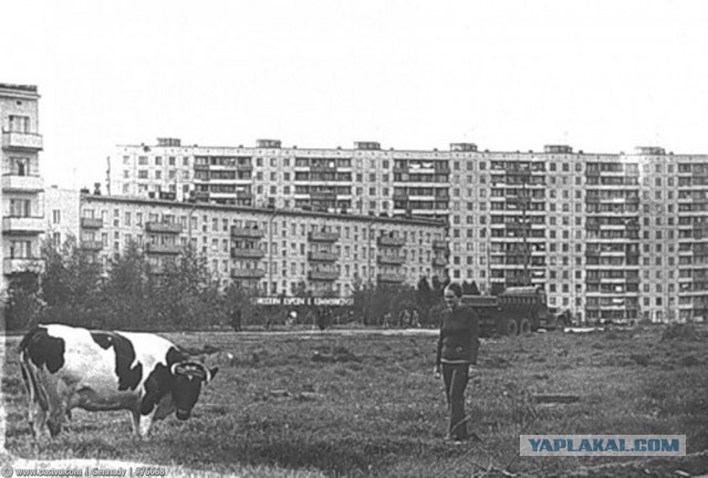 Новые пригороды Петербурга (всё плохо)