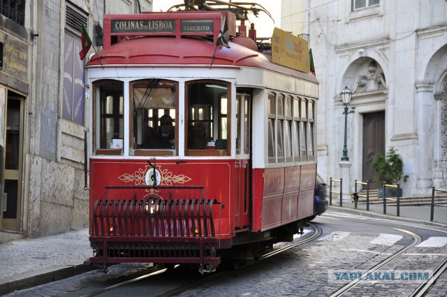 Самые странные и необычные трамваи со всего мира