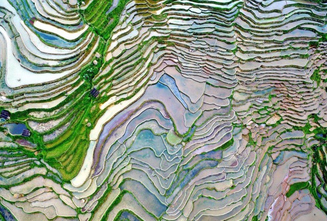 Фото интересные и не только
