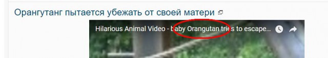 Орангутанг пытается убежать от своей матери
