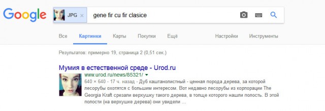 Один день из жизни порно-звезды