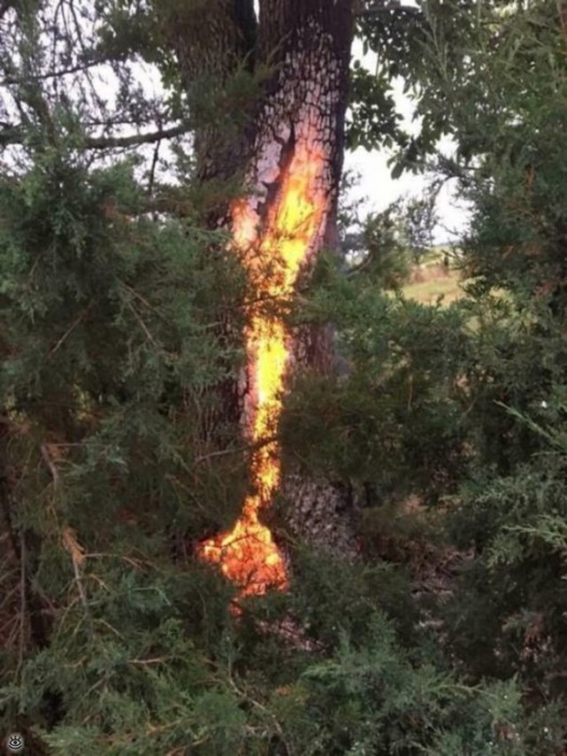 Фото, на которых все могло бы быть нормально, если бы не одно но...