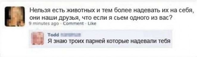 Прикольные комментарии и высказывания из Сети