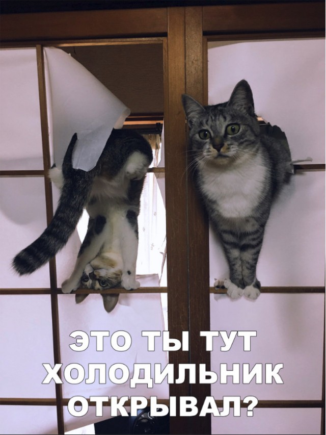 Немного милоты