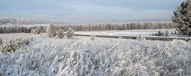 Новогодняя погода. У кого как, у нас вот