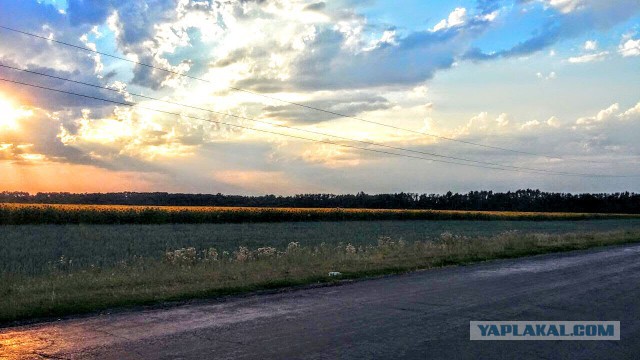 Не жива уже моя старушка