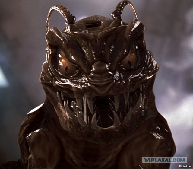 Спустя 2 месяца поисков в Енисее нашли тело 24-летней Алёны Захаровой