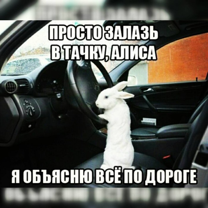 Комментарии, картинки всякие