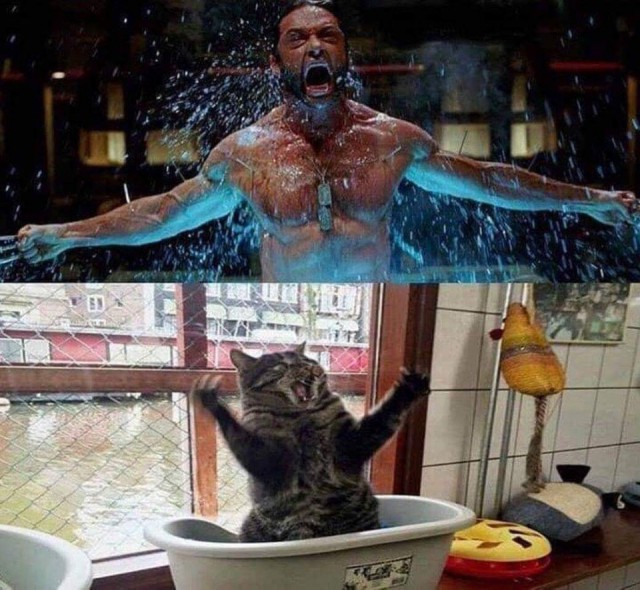 Crazy Art