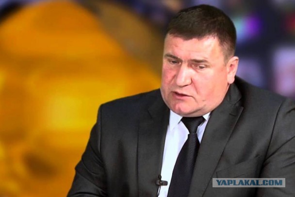 В трясине реки Быстрица погиб чиновник администрации Лужского района. Рядом нашли гарпун