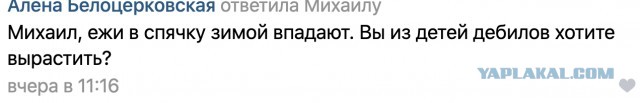 Детский православный журнал «Ермолка»