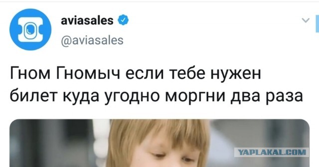 Плющенко и Рудковская агитируют за поправки