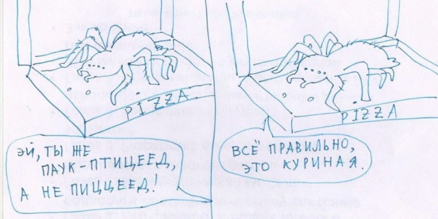 Дурацкие картинки